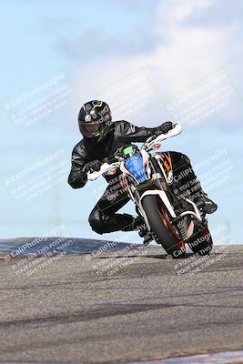 media/Feb-19-2024-Lets Ride (Mon) [[eb90a18fbf]]/Group C/1230pm (Grapevine)/